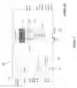 Fig. 02 - Image Sensor with Two or More Image Areas and an Endoscope Using the Same