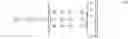 Fig. 04 - Method and apparatus for video decoding