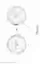 Fig. 07 - Electronic device and method for executing application or service
