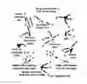 Fig. 01 - Interference and mobility management in UAV-assisted wireless networks