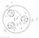 Fig. 07 - MICROWAVE PROCESSING CHAMBER
