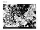 Fig. 08 - Ink composition for light sintering, wiring board using same and manufacturing method therefor