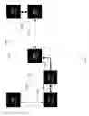 Fig. 41 - 3D bendable printed circuit board with redundant interconnections