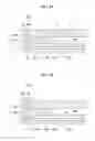 Fig. 11 - Display device