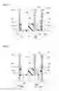 Fig. 08 - Electronic device with supporting structure of substrate