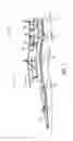 Fig. 07 - Agricultural implement system with tool bar behind wing frame