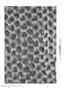 Fig. 19 - Netting material