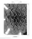 Fig. 20 - Netting material