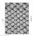 Fig. 33 - Netting material