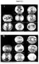 Fig. 33 - Endophytes and related methods