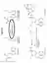 Fig. 68 - Endophytes and related methods