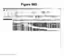 Fig. 82 - Endophytes and related methods
