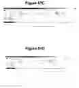 Fig. 84 - Endophytes and related methods