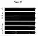 Fig. 90 - Endophytes and related methods