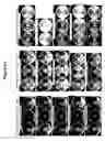 Fig. 99 - Endophytes and related methods