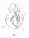 Fig. 06 - PET CHEWING TOY