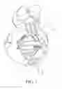 Fig. 07 - PET CHEWING TOY