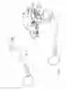 Fig. 02 - Dog Leash and Tether