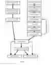 Fig. 02 - HUMANIZED MOUSE MODELS AND USES THEREOF