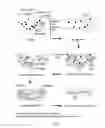 Fig. 03 - Compositions comprising peroxyacid and methods for producing and using the same
