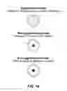 Fig. 15 - MINERAL FUNCTIONAL WATER, METHOD FOR PRODUCING THE SAME, AND METHOD FOR CONTROLLING UNICELLULAR ORGANISMS AND/OR VIRUSES