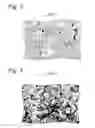 Fig. 03 - SOLID MILKS AND METHOD FOR PRODUCING SOLID MILKS