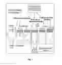 Fig. 02 - DIGESTIVE SUPPLEMENT TO MITIGATE ADVERSE REACTIONS