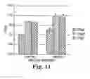 Fig. 07 - Method of feeding an animal