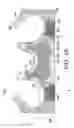 Fig. 16 - Flat-knit support garment for upper torso