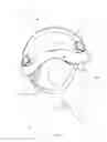Fig. 05 - Chin strap connector with variable breaking