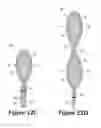 Fig. 30 - Article of footwear having an upper with knitted elements