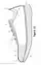 Fig. 33 - Article of footwear having an upper with knitted elements