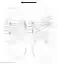 Fig. 01 - GOLF SHOES