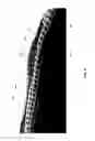 Fig. 10 - Pressure mapped midsoles, articles of footwear including the same, and methods of making the same