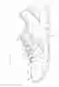 Fig. 04 - Upper of shoe