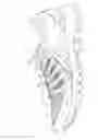 Fig. 07 - Upper of shoe