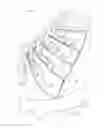 Fig. 09 - Upper of shoe