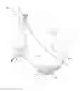 Fig. 01 - Hands-free grooming apparatus and methods of use thereof