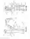 Fig. 19 - Human exoskeleton devices for heavy tool support and use