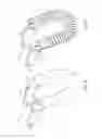 Fig. 05 - Impact-absorbing tethering attachment