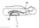 Fig. 01 - Spinal Support Pillow