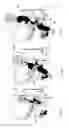Fig. 08 - Adjustable child carrier