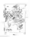 Fig. 04 - Overwrap container, method of and apparatus for producing same