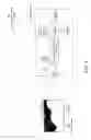 Fig. 04 - Method and apparatus of assessment of access flow in hemodialysis patients by video imaging processing