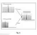 Fig. 09 - System and method to determine premature ventricular contraction (PVC) type and burden