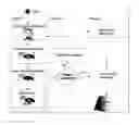 Fig. 01 - Method and Apparatus for Eye Gaze Tracking and Detection of Fatigue