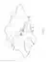 Fig. 09 - ELASTIC PHYSIOLOGICAL DETECTION STRUCTURE