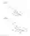 Fig. 05 - Endoscopic suture loop anchors and methods