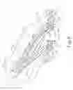 Fig. 07 - Surgical stapler buttress assembly with adhesion to wet end effector