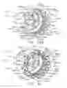 Fig. 21 - Fastener cartridges for applying expandable fastener lines